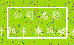 公司 名称_丹阳市 乘风破浪
