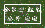哈尔滨 起名_公司 宝宝