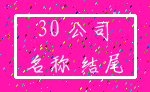 30 公司_名称 结尾