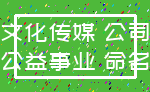 文化传媒 公司_公益事业 命名
