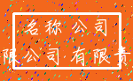 名称 公司_有限公司 有限责任