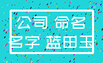 公司 命名_名字 蓝田玉