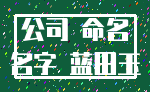 公司 命名_名字 蓝田玉