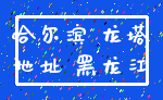 哈尔滨 龙塔_地址 黑龙江