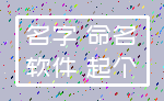 名字 命名_软件 起个