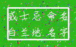 威士忌 命名_白兰地 名字