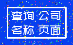 查询 公司_名称 页面