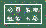 公司 名称_起名 大全