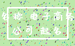 名称 电子商务_公司 起名