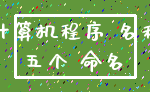 计算机程序 名称_五个 命名