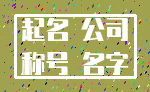 起名 公司_称号 名字