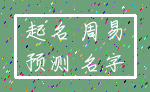 起名 周易_预测 名字