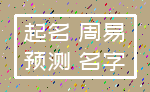 起名 周易_预测 名字