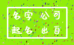 名字 公司_起名 出自