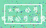 文化 公司_有限公司 投资
