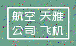 航空 天雅_公司 飞机