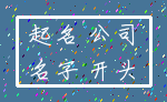 起名 公司_名字 开头