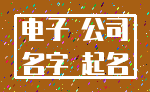 电子 公司_名字 起名