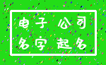 电子 公司_名字 起名