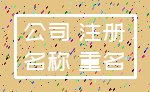 公司 注册_名称 重名