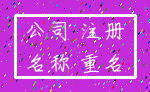 公司 注册_名称 重名