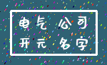 电气 公司_开元 名字