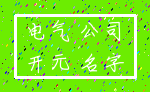 电气 公司_开元 名字