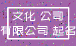 文化 公司_有限公司 起名
