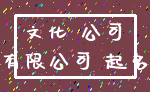 文化 公司_有限公司 起名