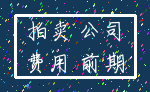 拍卖 公司_费用 前期