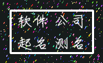 软件 公司_起名 测名
