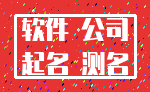 软件 公司_起名 测名