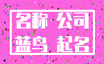 名称 公司_蓝鸟 起名