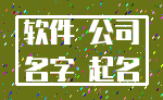 软件 公司_名字 起名