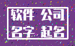 软件 公司_名字 起名