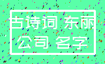 古诗词 东丽_公司 名字