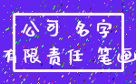 公司 名字_有限责任 笔画