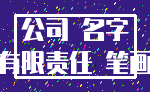 公司 名字_有限责任 笔画