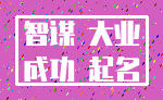 智谋 大业_成功 起名
