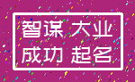 智谋 大业_成功 起名