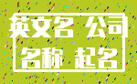 英文名 公司_名称 起名