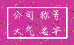 公司 称号_大气 名字