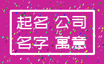 起名 公司_名字 寓意