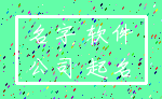 名字 软件_公司 起名