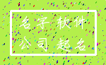 名字 软件_公司 起名