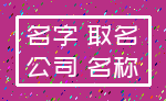 名字 取名_公司 名称