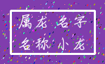 属龙 名字_名称 小龙