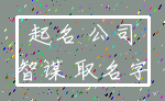 起名 公司_智谋 取名字