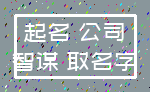 起名 公司_智谋 取名字