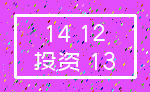 14 12_投资 13